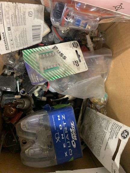 Miscellaneous and Assorted Bulbs