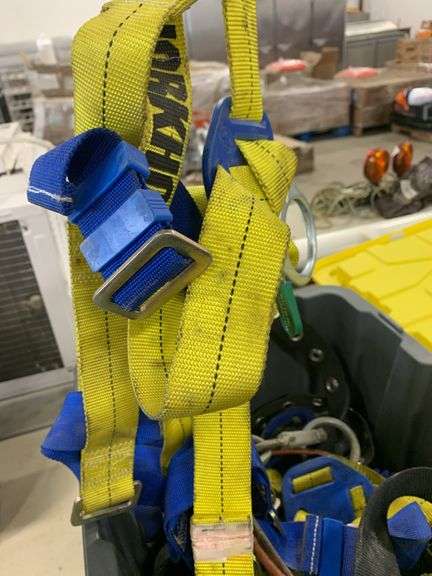 Tote w/ Harness & Cable Lock