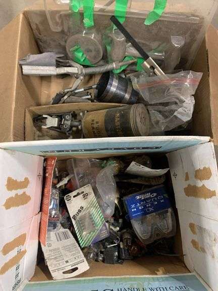 Miscellaneous and Assorted Bulbs