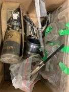 Miscellaneous and Assorted Bulbs