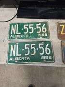 License Plates