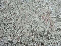 Slab of Granite (White/Grey Marbling Pattern with Brown)