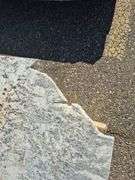 Slab of Granite Irregular Shape (White/Grey/Black/Beige Marbling Pattern)