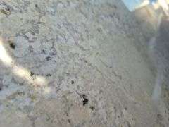 Slab of Granite L-Shaped (White with Grey/Black/Beige Veining/Speckling Pattern)