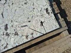 Slab of Granite (White/Black and Grey Speckled Pattern)