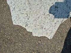 Slab of Granite (Whitish with Grey and Beige Speckling)