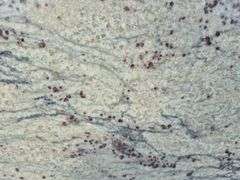 4 Slabs of Granite (Refer to Pictures)