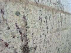 Slab of Granite Irregular Shape (White with Grey/Purple/Beige Speckled Pattern)