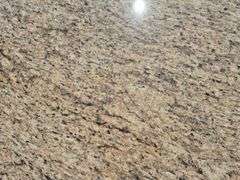 Slab of Granite (Brown/Grey/White/Black Speckling Color)