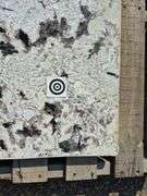 Slab of Granite (White/Black and Grey Speckled Pattern)