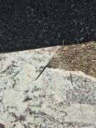 Slab of Granite Irregular Shape (White/Grey/Black/Beige Marbling Pattern)