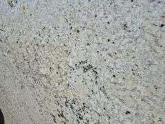 Slab of Granite L-Shaped (White with Grey/Black/Beige Veining/Speckling Pattern)