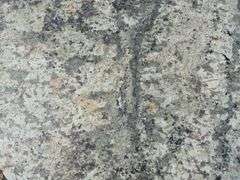 Slab of Granite Irregular Shape (Green/Beige/White/Grey Veining Pattern)