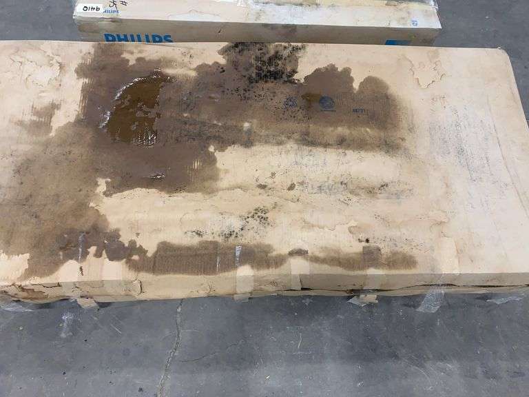 Pivot Shower Door (Clear Tampered Glass)