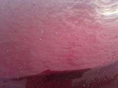 2016  CHEVROLET  Equinox