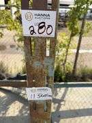 Metal Racking (12 Sections)