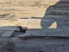 2006  Trail Master  TM-40791 Utility Trailer