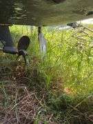 1979 28' Trojan Flybridge