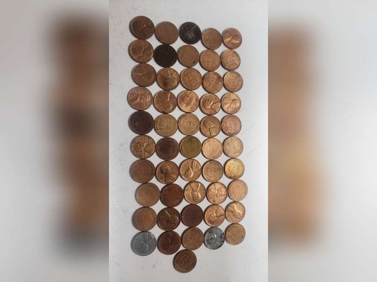 FIFTY-ONE (51) PENNIES