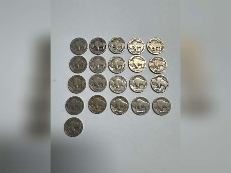 TWENTY-ONE (21) BUFFALO NICKEL