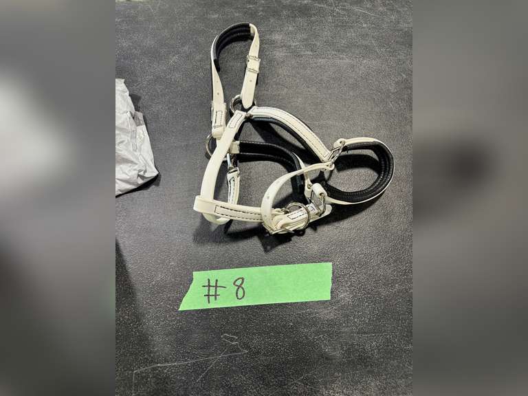 HALTERS [13]