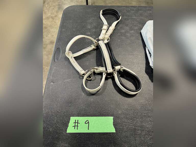 HALTERS [13]