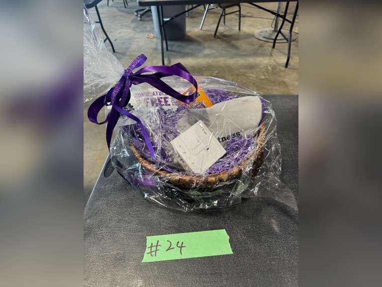 PLANET FITNESS GYM BASKET [34]