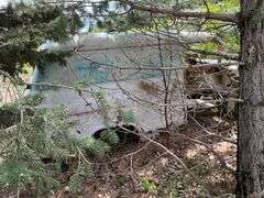 1955 Chevy panel van