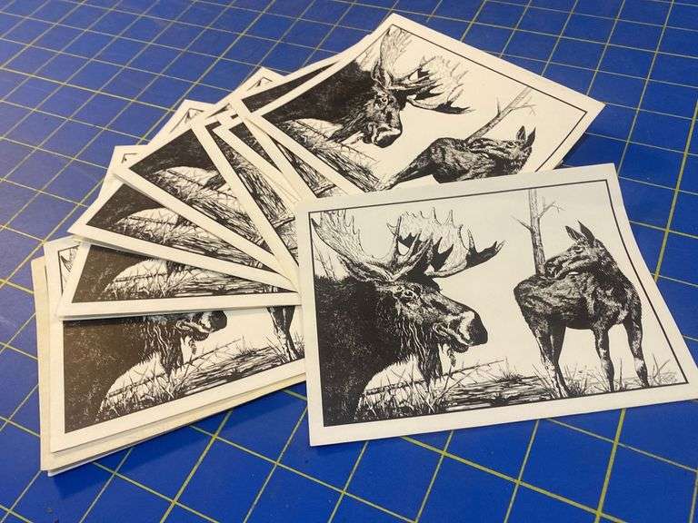 Moose cards (12)