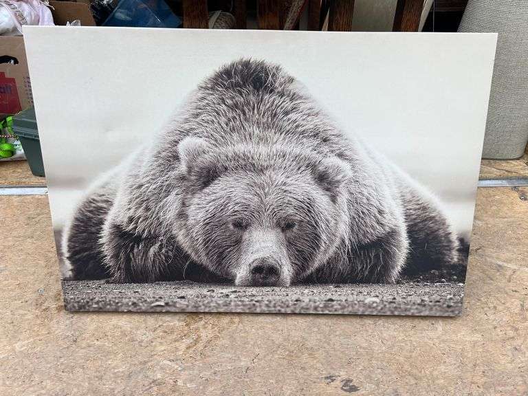 Lazy Bear Canvas Print