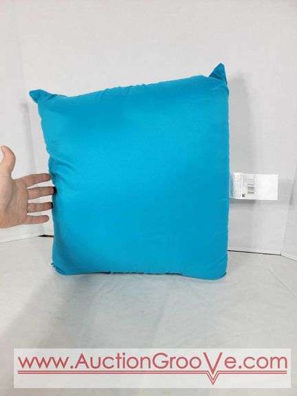 FIVE Decorative Pillows. BL