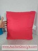 FIVE Decorative Pillows. BL