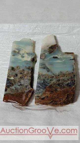 2 unpolished slabs. Note states, "Ocean Picture Rock, Canada". 128 grams. Photos shot with water. B1