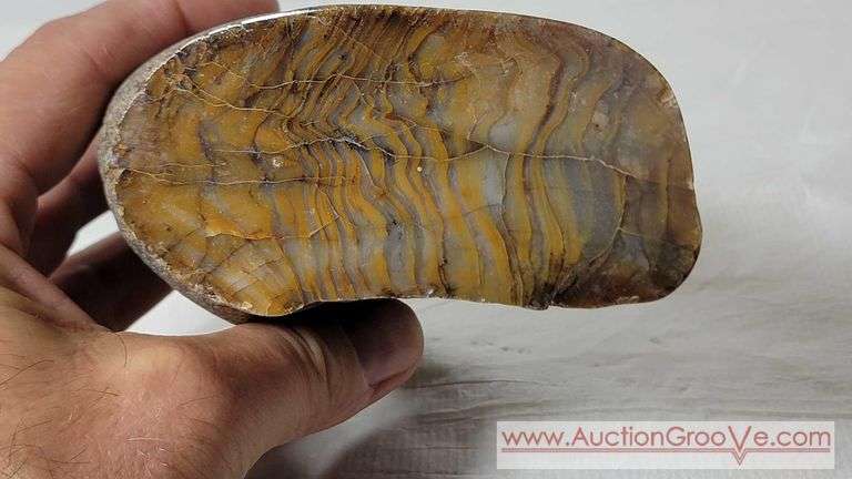 PETRIFIED WOOD. Photographed wet and dry. 888 grams. R2