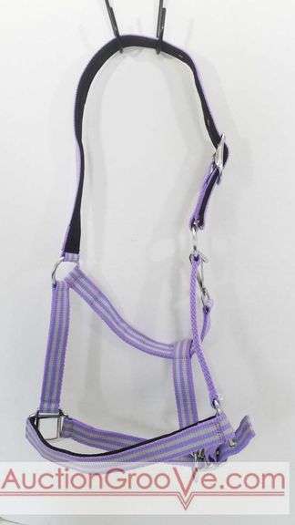 Nylon halter with padded noseband and crown. Full size halter in purple and gray colors appears in new condition.