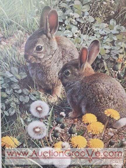 Carl Brenders Signed Limited Edition Print Colorful Playground - Cottontails. 20.5 x 27. Framed with Anti Glare Glass. BR