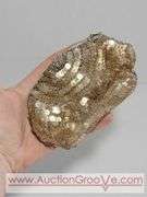 Victorian Silk Purse Petite Embroidery and Sequin And Bead Purse. XCS