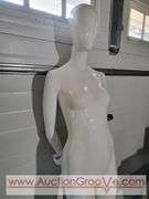 Life Size Model Mannequin. Removable Magnetic Arms. 70 x 24 x 15. No stand. XAB