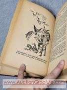 1924 Pinocchio By C. Collodi. Illustrations by Frances Brundage. The Saalfield Publishing Company. A1