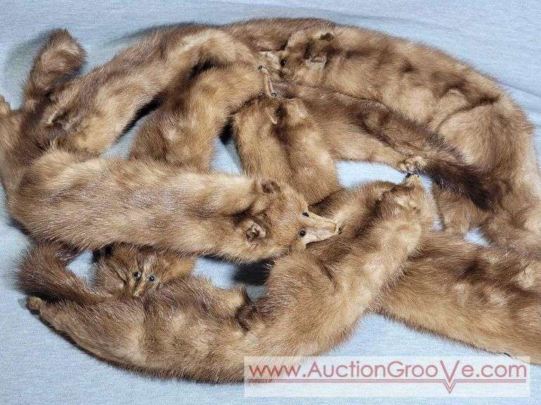 Pair of Genuine Natural Pastel Mink Stole Collars / Wraps. B