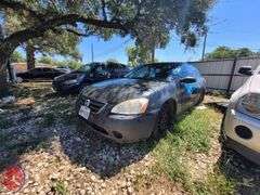 Lot 20