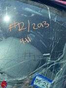 Lot 12