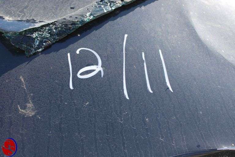 Lot 12
