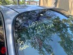 Lot 11