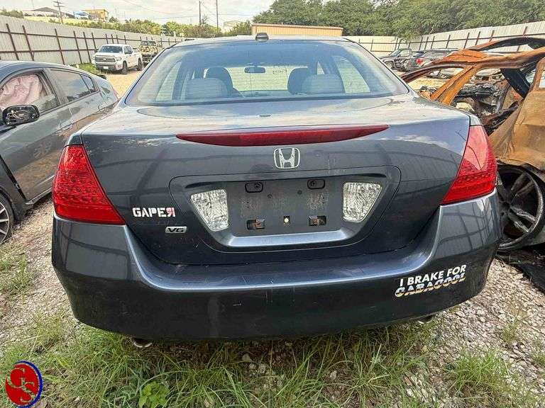Lot 11