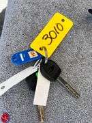Lot 3010