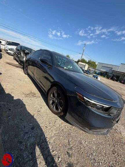 Lot 11