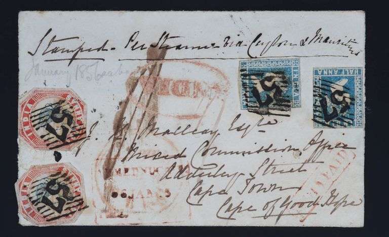 Lot 3019