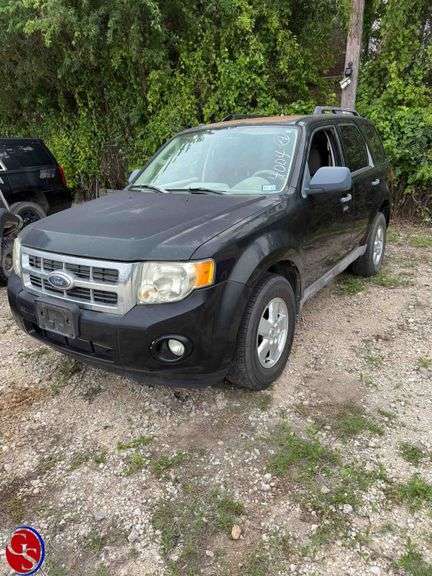 Lot 4004