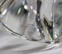 SWAROVSKI CRYSTAL PAIKEA HUMPBACK WHALE